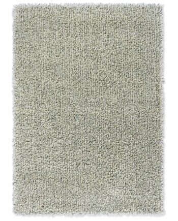 Brink Campman Ray Halm 158607 A