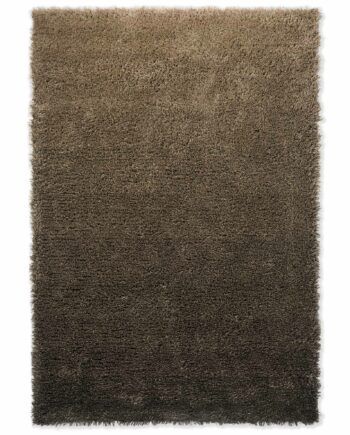 Brink Campman Shade High Beige Dark Chocolate 11901 A