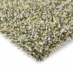 Brink Campman Spring Evergreen 59107 E