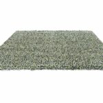 Brink Campman Spring Into the Woods 59117 D