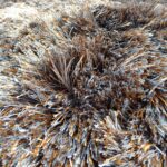 Angelo Rugs Bergamo 5512 853 Z1