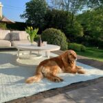 Angelo Rugs Terraza Outdoor 3038 19 S6 TCH
