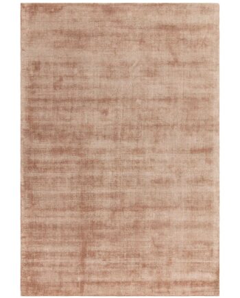 Asiatic Aston cooper rug