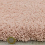Asiatic Lulu pink 4