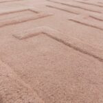 Asiatic Maze blush 4